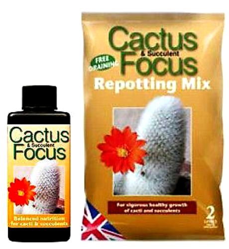 best-soils-for-cactus Growth Technology Cactus Focus 2L Repotting Mix