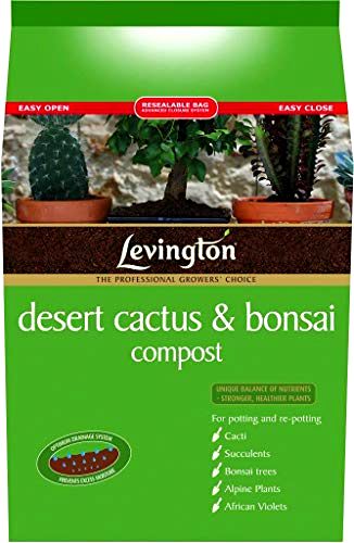 best-soils-for-cactus Levington 8L Desert Cactus & Bonsai Soil