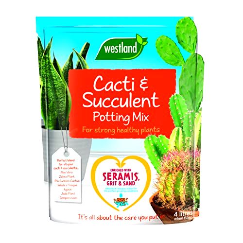 best-soils-for-cactus Westland 4L Cacti/Succulent Potting Compost Mix