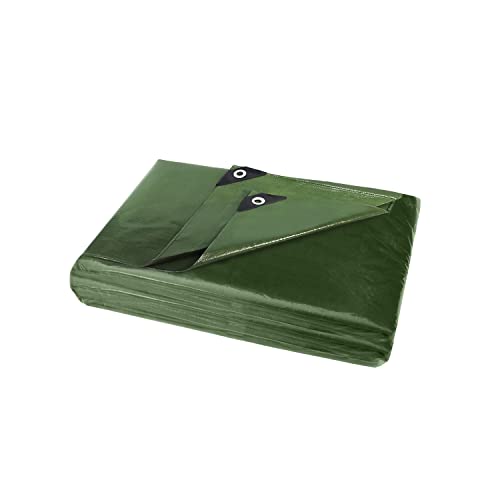 best tarpaulin ANSIO 2x3m Heavy Duty Waterproof Tarpaulin