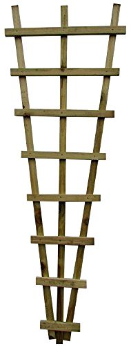 best-wooden-fence-trellis Fan Trellis 6ft x 2ft- pack of 2