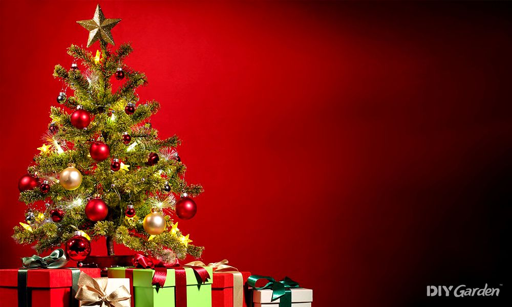 4.-christmas-tree-statistics-uk