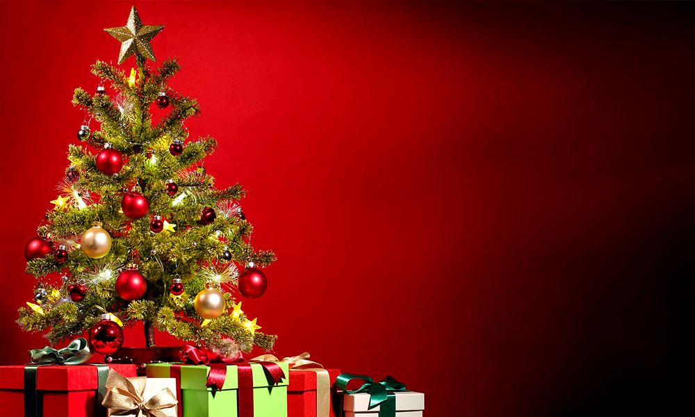 4.-christmas-tree-statistics-uk