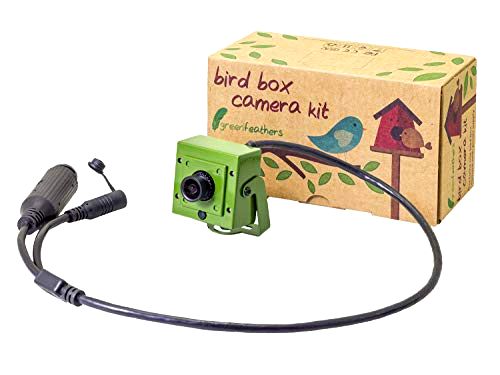 best bird box camera Green Feathers Wildlife Wired Bird Box Camera
