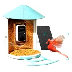 best bird box camera NETVUE Birdfy  Smart Bird Feeder Camera
