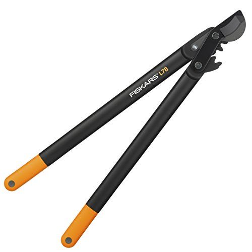 10 Best Garden Loppers for Trees & Branches (2024 Review UK)