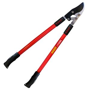 best-tree-loppers TABOR TOOLS GG11E Professional Bypass Lopper