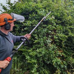 Einhell GC HH 9048 Electric Long Reach Hedge Trimmer Review