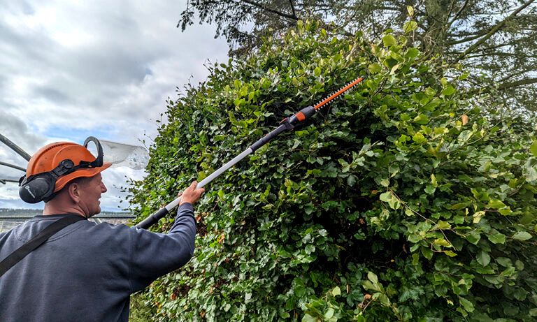 10 Best Telescopic Hedge Trimmers: Tested (2022 Review UK)