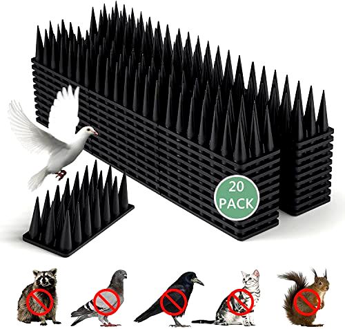 squirrels-digging-up-your-lawn Apluskis 2022 Upgraded Bird Spikes, 20 Pack/6M…