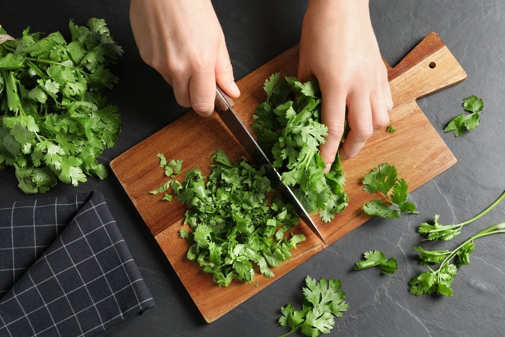 Chopping coriander leaves