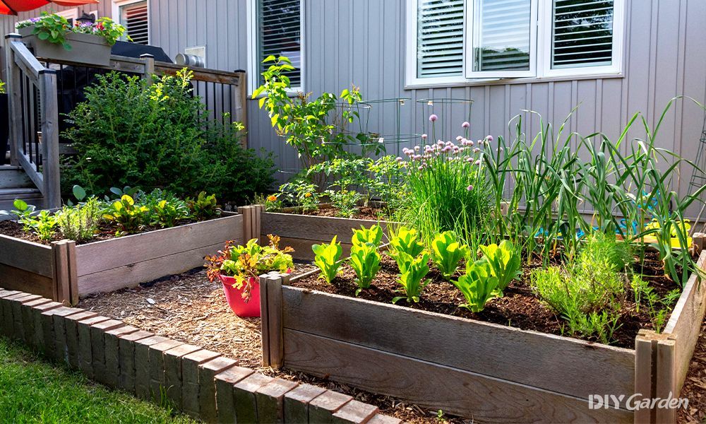 How to Grow Vegetables in a Raised Bed