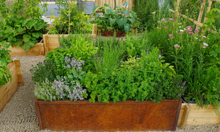 What to Put at the Bottom of a Raised Garden Bed (11 Ideas)
