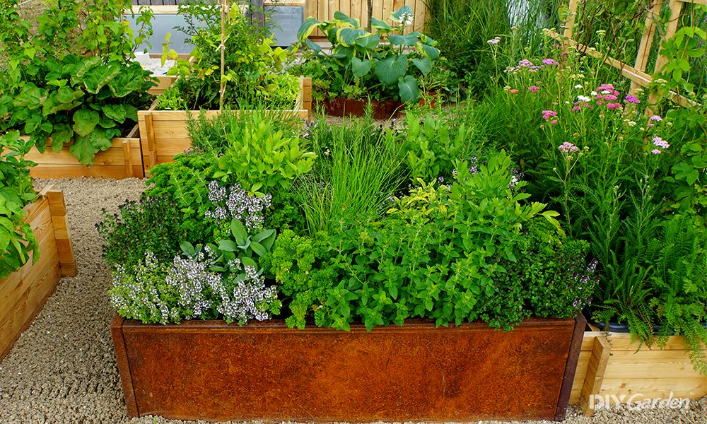 how-to-create-a-raised-bed-herb-garden