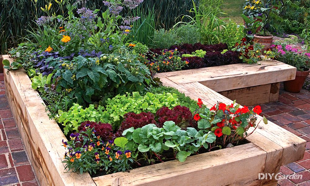 Selecting the Right Material for Your Raised Bed Garden