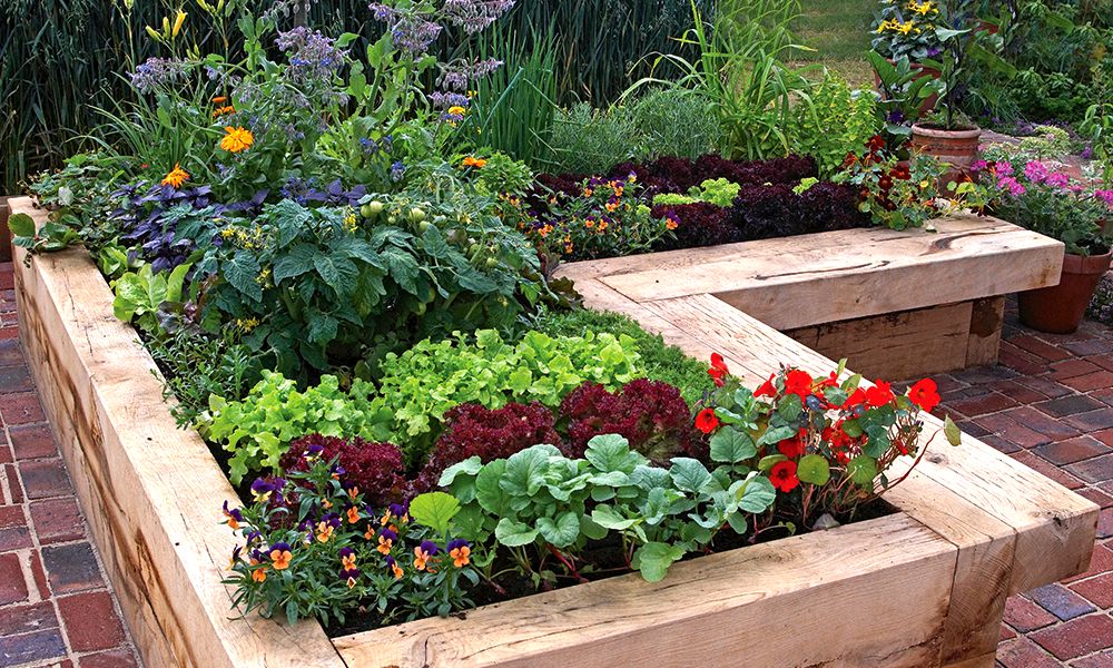 Best-Materials-for-Raised-Garden-Beds
