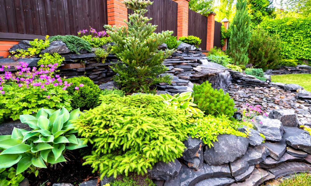 Garden Rockery Ideas