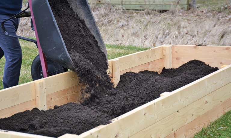 What Is The Best Soil for Raised Garden Beds? (Handy Guide)