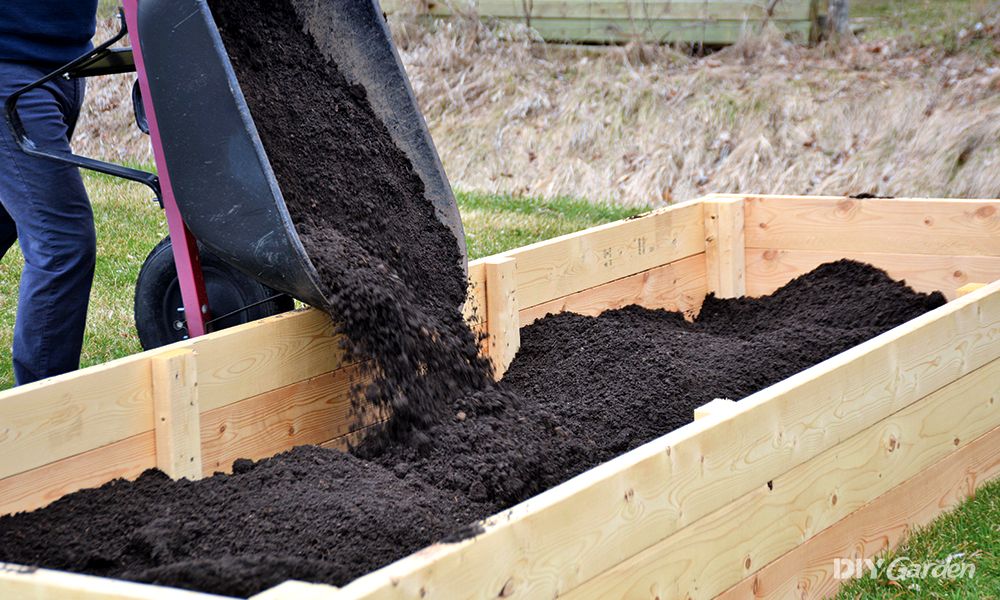 What is the Best Soil for Raised Garden Beds