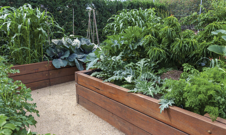 What to Put at the Bottom of a Raised Garden Bed (11 Ideas)
