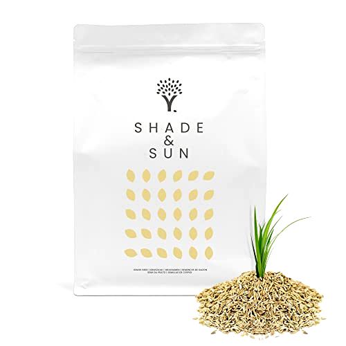 best grass seed for shade Moowy Shade & Sun Grass Seed