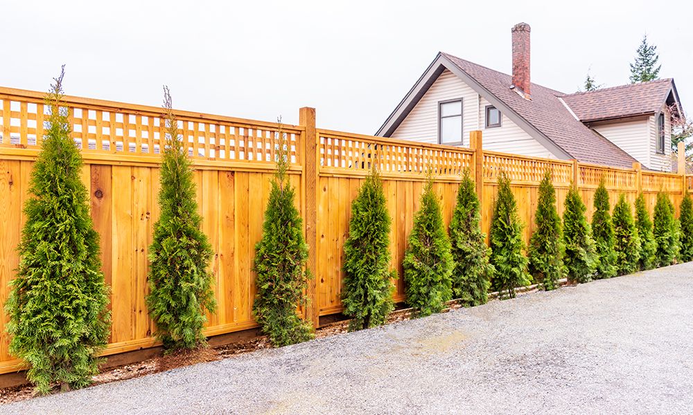 10-Tips-to-Improve-your-Fence-Security