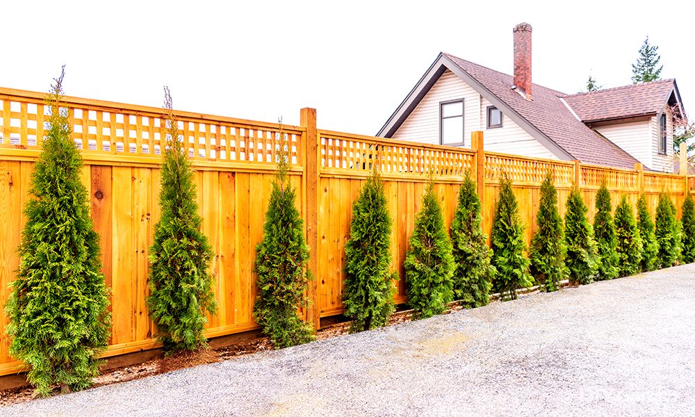 10 Tips to Improve your Fence Security