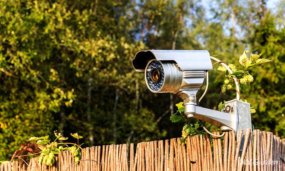 10 Ways To Make Your Garden More Secure