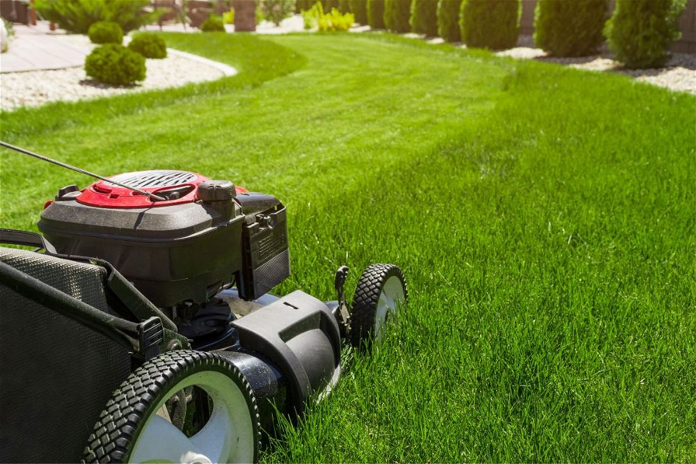 How Much Money Should I Spend On A Lawn Mower?