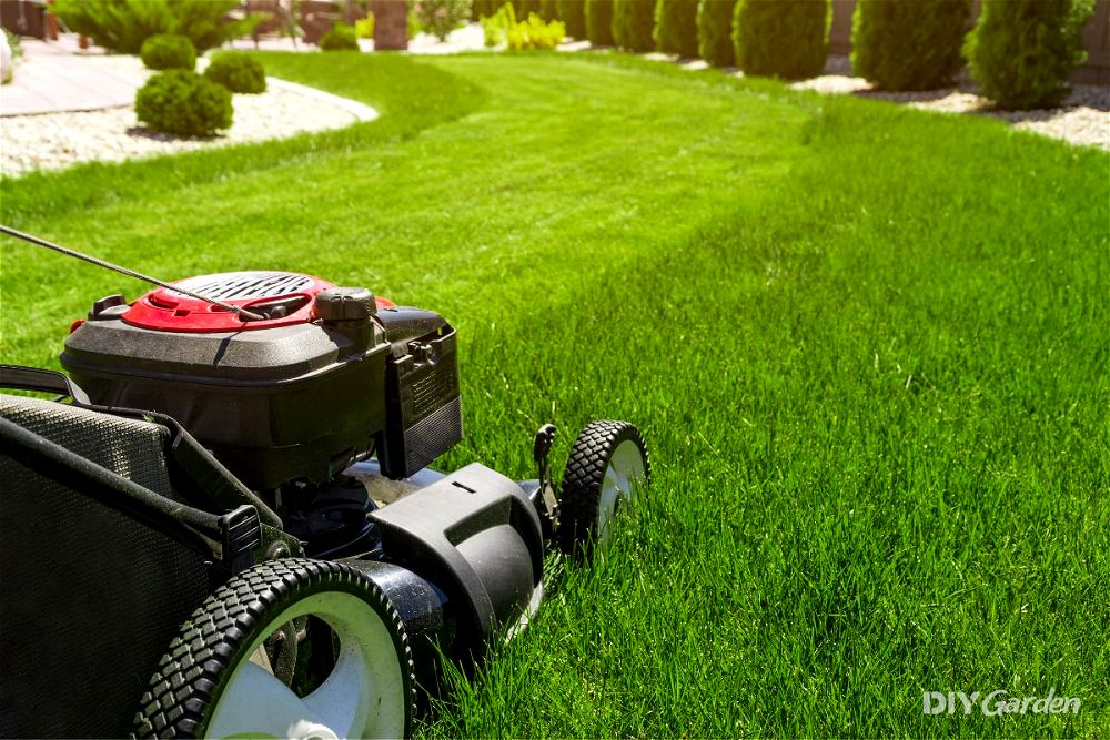 How Much Money Should I Spend On A Lawn Mower?