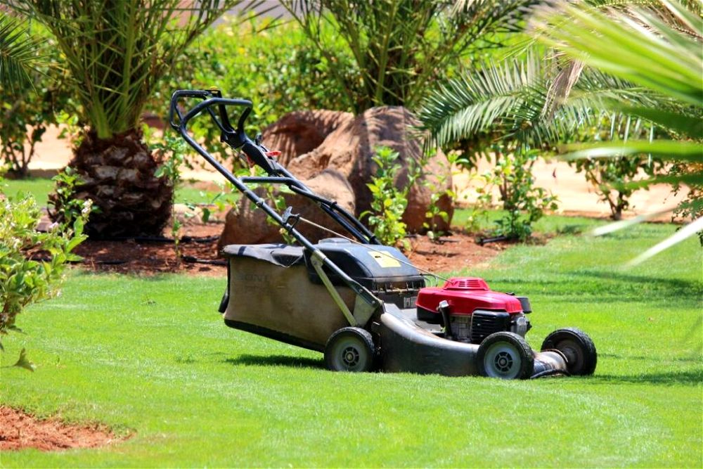 15 Reasons Why Your Petrol Lawn Mower Keeps Cutting Out!