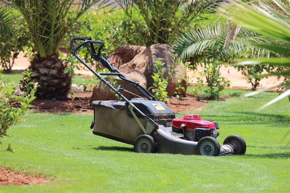 How Often Should You Replace Your Lawn Mower?