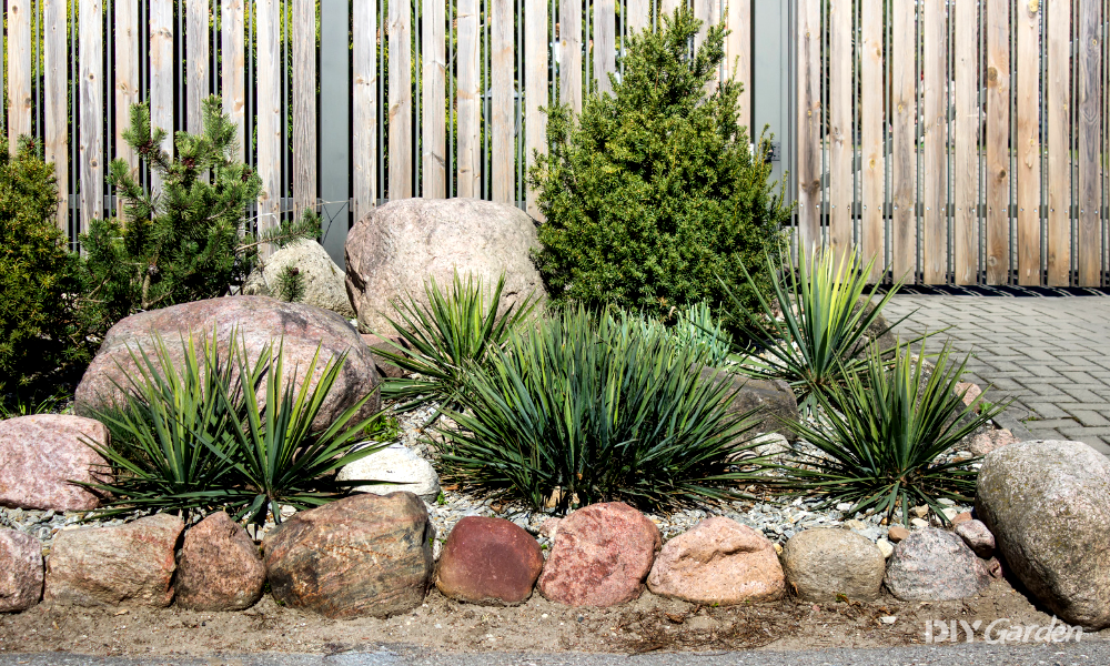 Spiky Plants, Hedges & Bushes