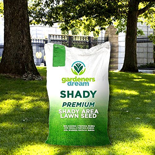 best grass seed for shade Gardeners Dream Shady Area Lawn Seed