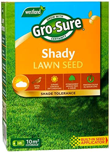 best grass seed for shade Gro Sure Shady Lawn Seed