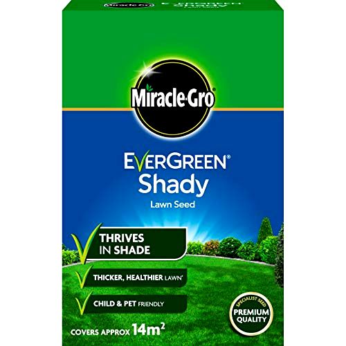 best grass seed for shade Miracle Gro EverGreen Shady Lawn Seed