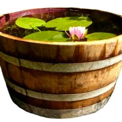 best half barrel planters Temesso Wine Barrel Solid Oak Barrel Planter