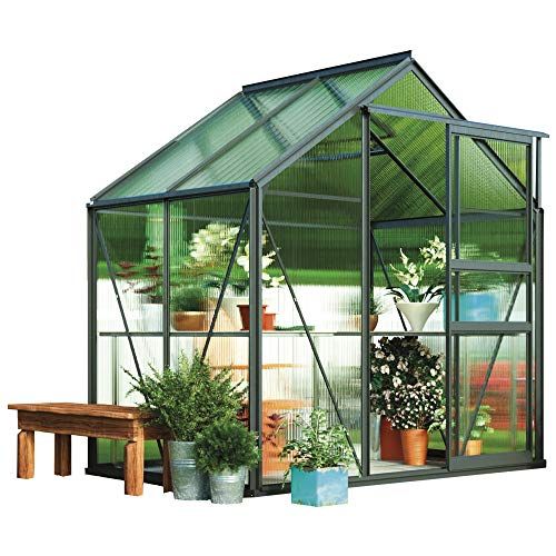 5 Best Polycarbonate Greenhouses (2024 Review UK)