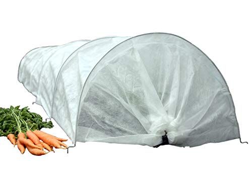 5 Best Polytunnels For Your Allotment (2024 Review UK)