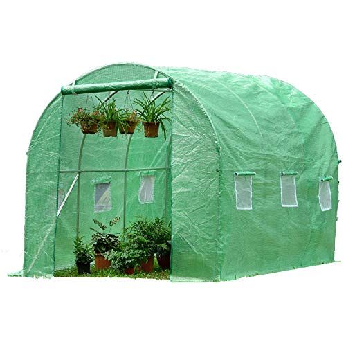 5 Best Polytunnels For Your Allotment (2024 Review UK)