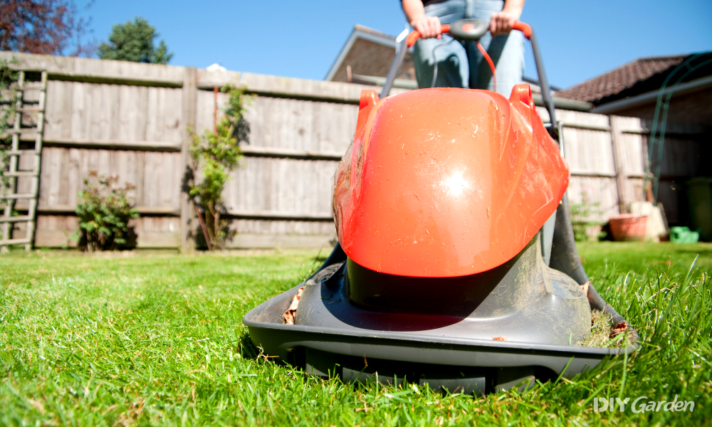 The Best Hover Mowers