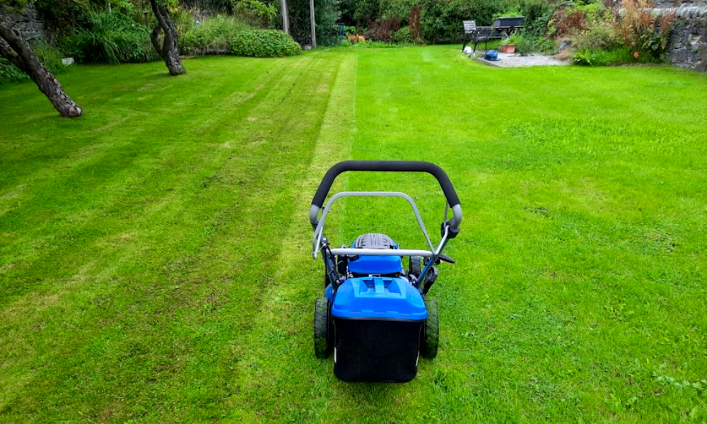 7 Best Lawn Mowers for Small Gardens (2023 Review UK)