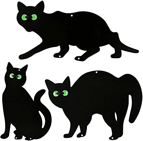 best-cat-repellents Black Cat Silhouette for Garden