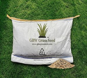 5 Best Grass Seed Products Of 2024 (Tested + Photos)