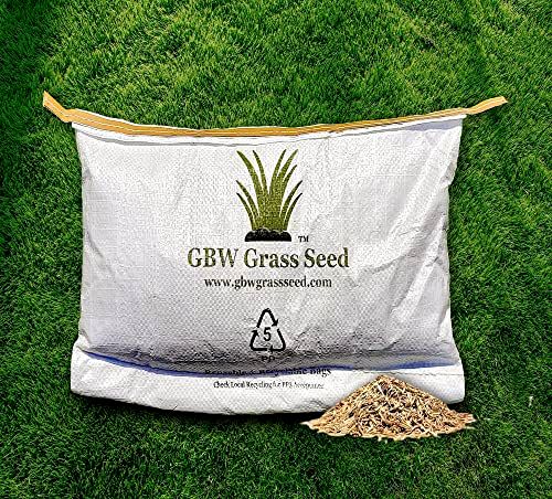 best-grass-seed GBW Premium Quality Grass Seed