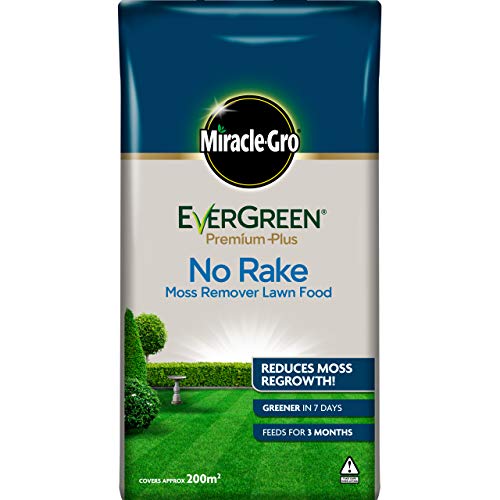 best moss killer Miracle Gro EverGreen Moss Remover Lawn Food