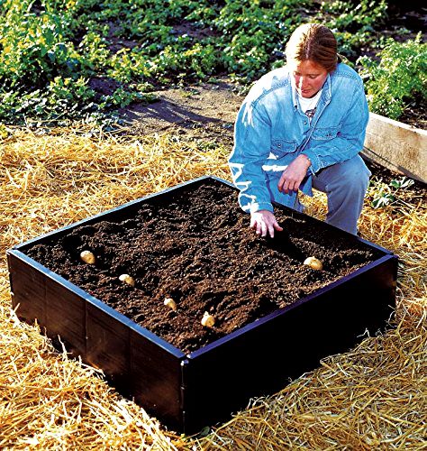 best-raised-garden-beds Garland Raised Grow Bed