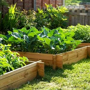 best-raised-garden-beds The Chamberlain Wooden Raised Grow Bed by Lacewing™