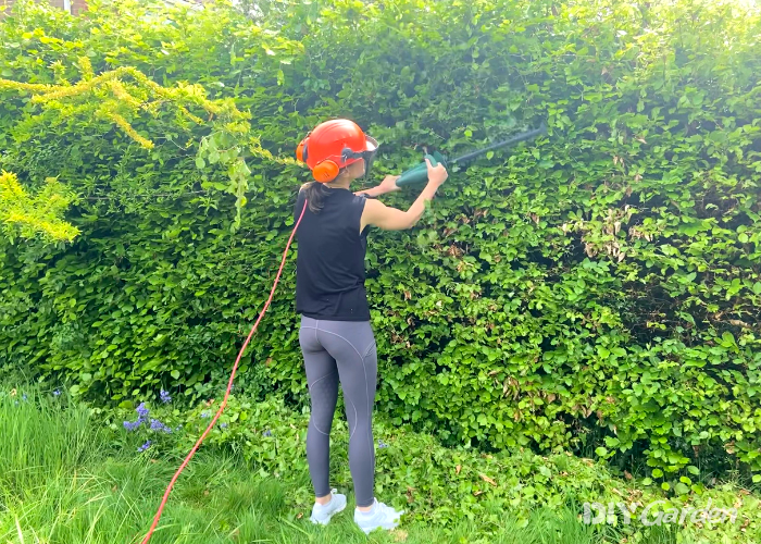 Bosch Electric Hedge Cutter EasyHedgeCut 45 Review being tested