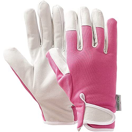 5 Best Gardening Gloves: Tried & Tested (2024 Review UK)